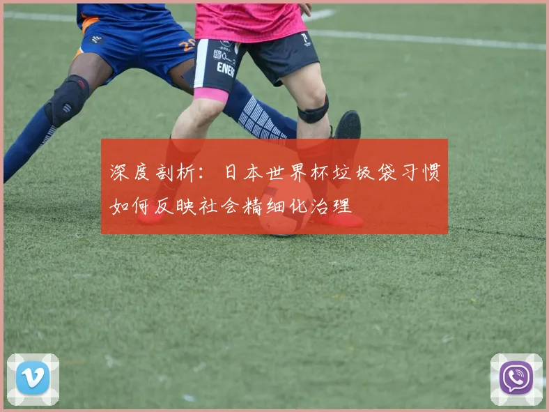 深度剖析:日本世界杯垃圾袋习惯如何反映社会精细化治理