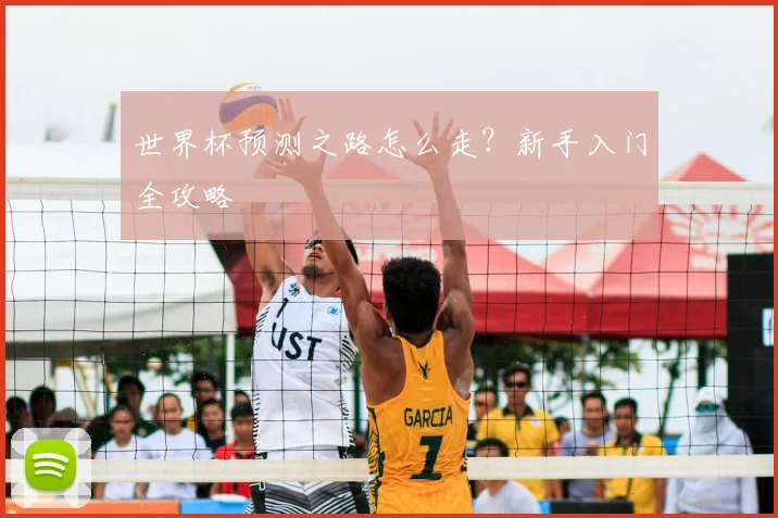 世界杯预测之路怎么走?新手入门全攻略